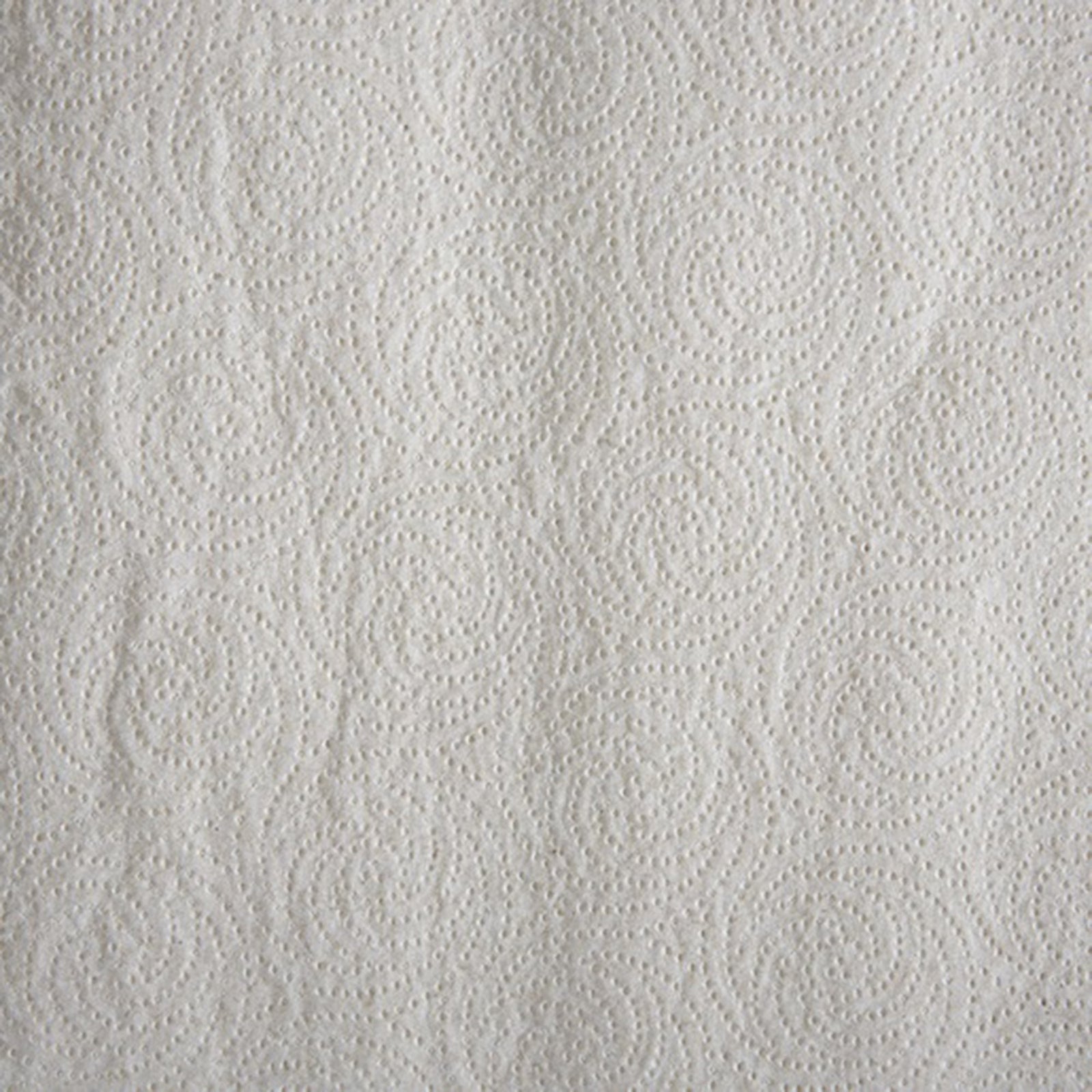 Pacific Blue Basic Kitchen Paper Towel