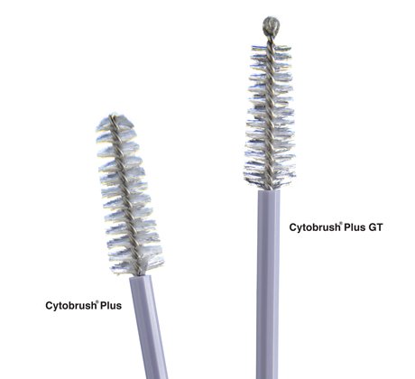 Cytobrush Plus GT Cytology Brush