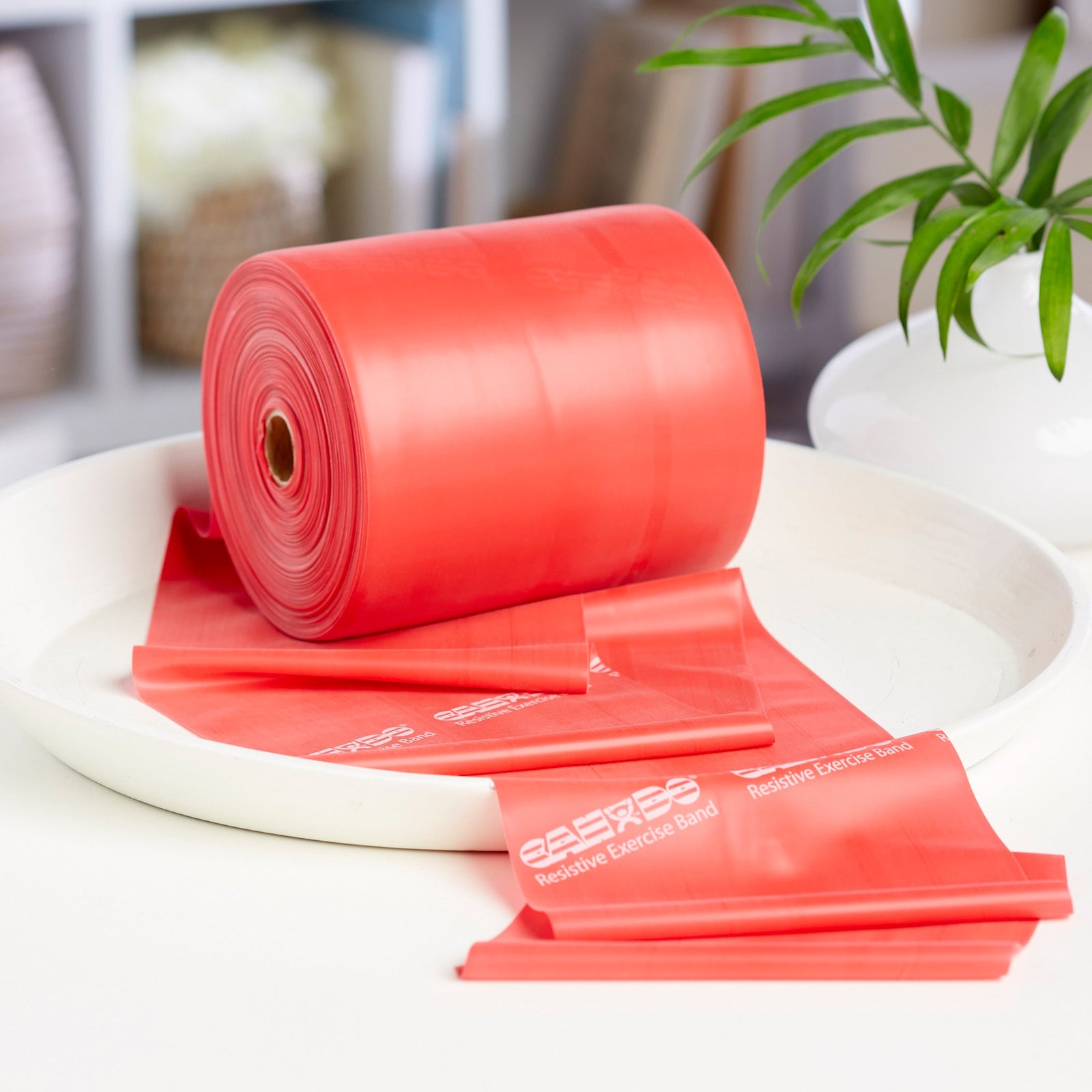 McKesson CanDo Exercise Resistance Band