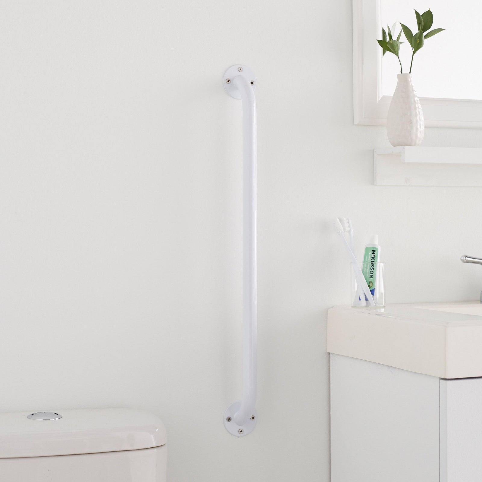 McKesson Wall Grab Bar