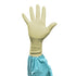 Biogel PI Surgical Glove