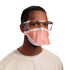 FluidShield Particulate Respirator / Surgical Mask