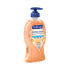 Softsoap Antibacterial Soap