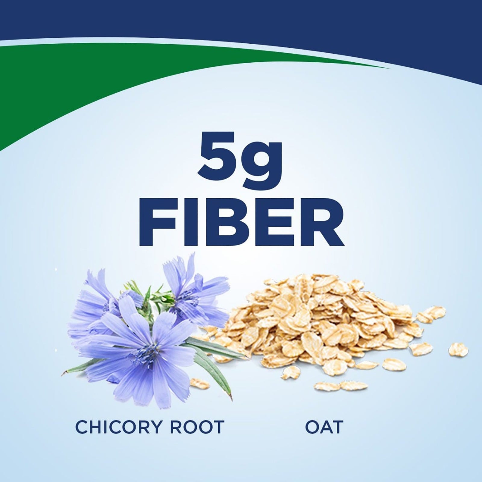 Ensure Plant Based Protein Nutrition Shake Oral Supplement