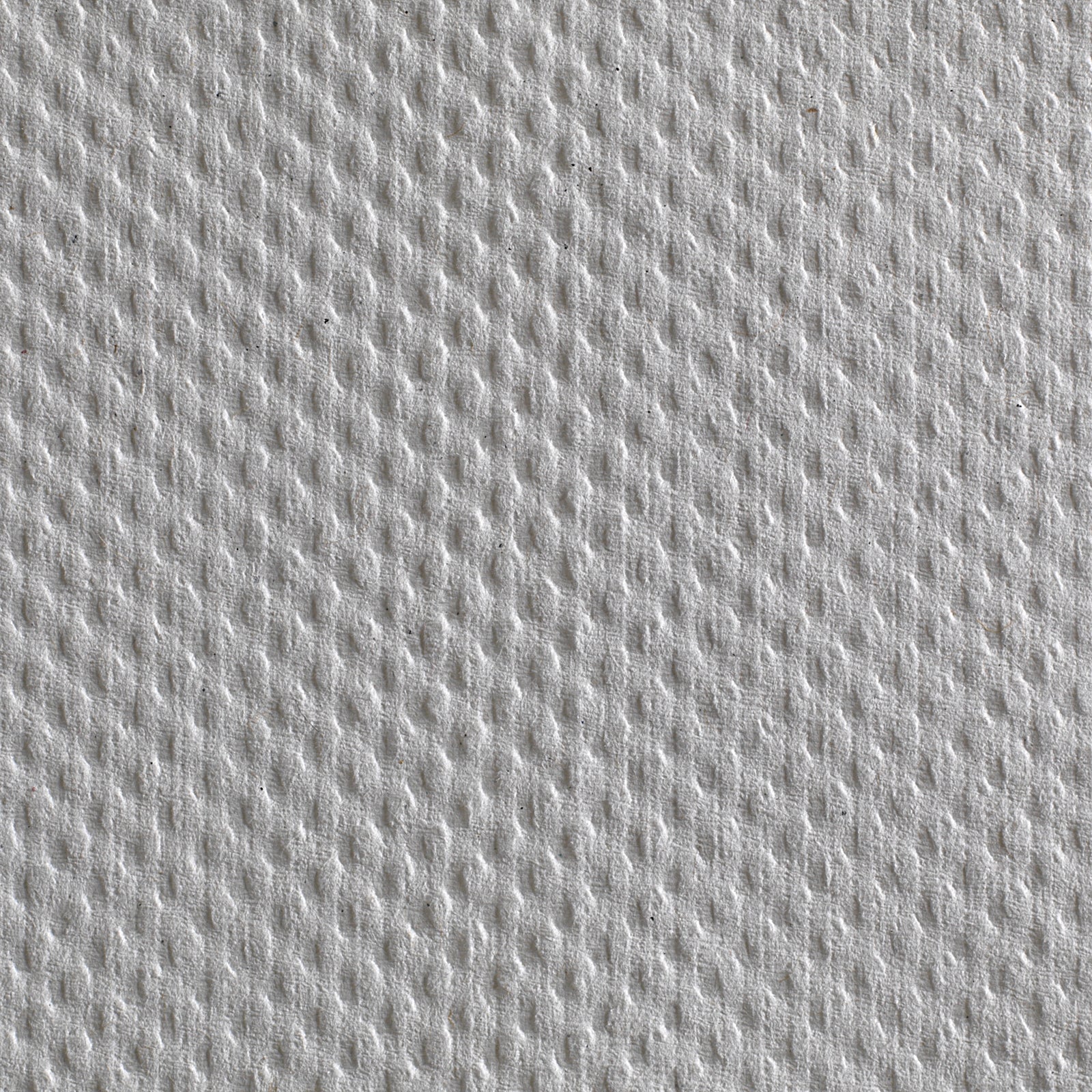 Pacific Blue Basic Paper Towel