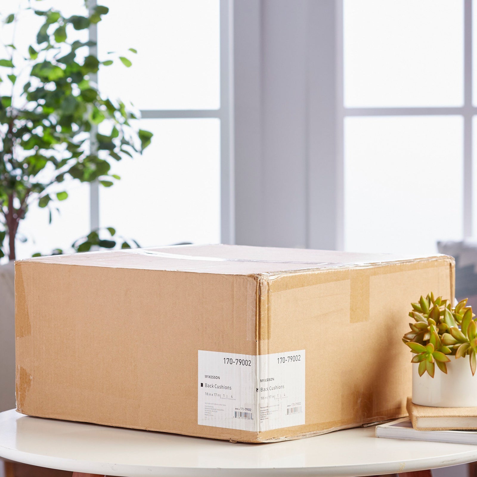 McKesson Seat Back Cushion