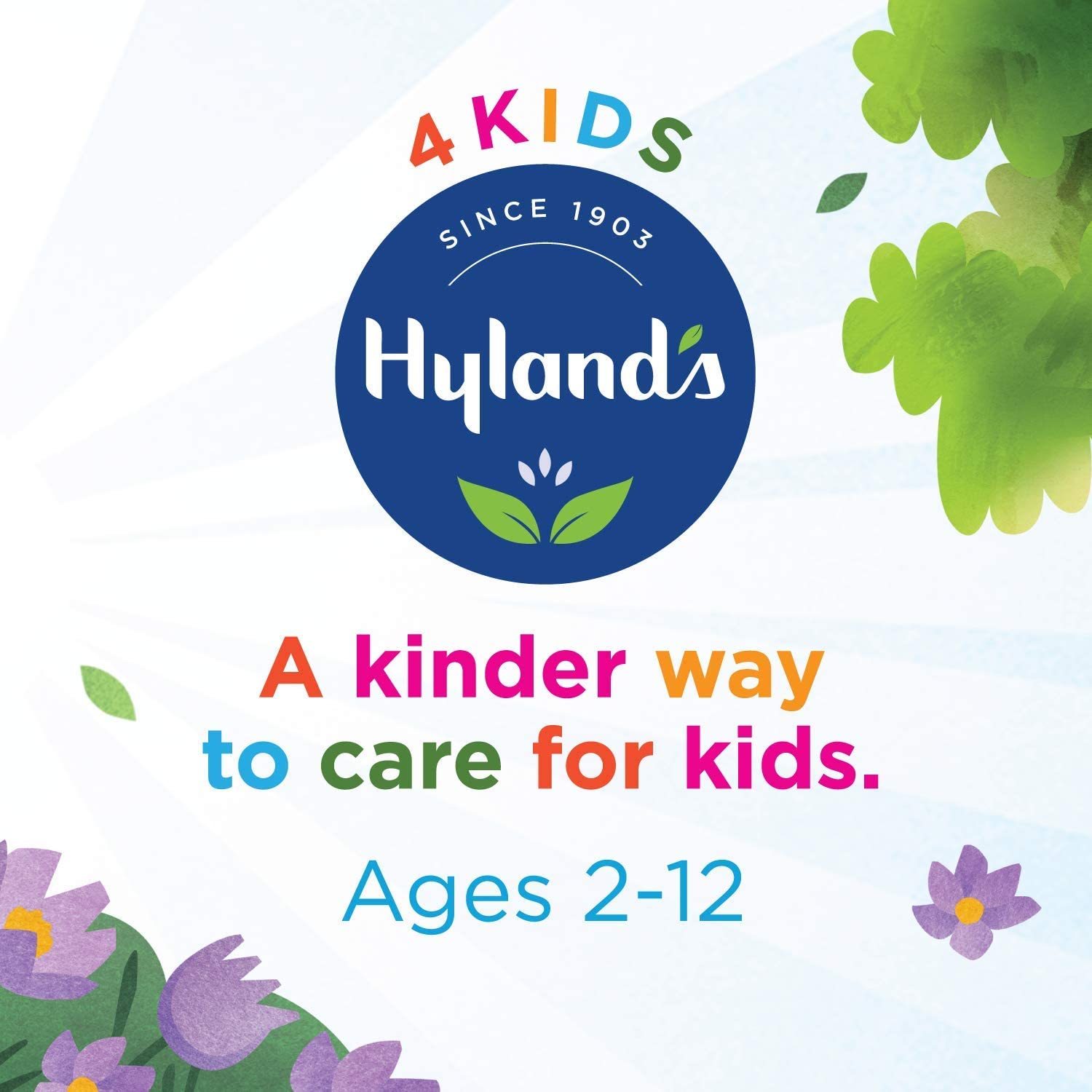 Hyland's Kids Cold Medicine Day/Night