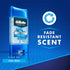 Gillette Anti-Perspirant Deodorant