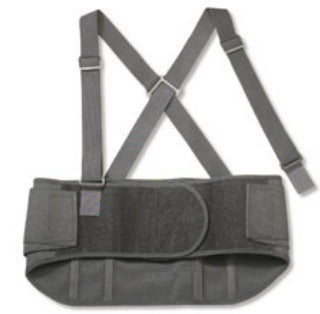 ProFlex® Standard Back Support, Large